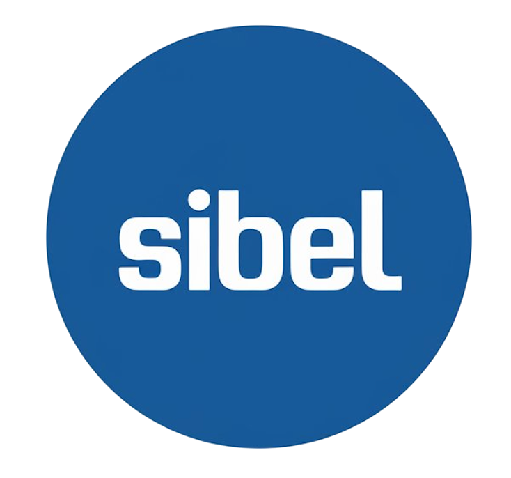 Inteligencia Artificial en Pymes